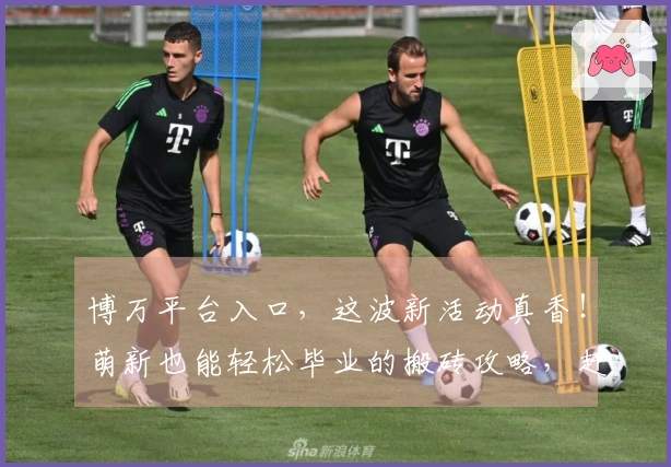 博万平台入口，这波新活动真香！萌新也能轻松毕业的搬砖攻略，赶紧来抄作业！