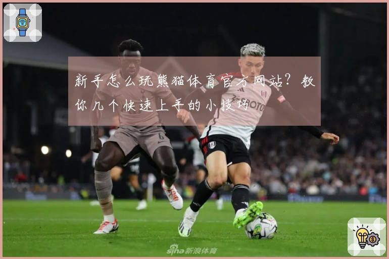 新手怎么玩熊猫体育官方网站？教你几个快速上手的小技巧
