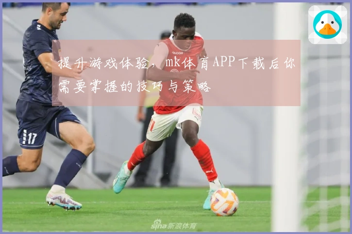 提升游戏体验，mk体育APP下载后你需要掌握的技巧与策略