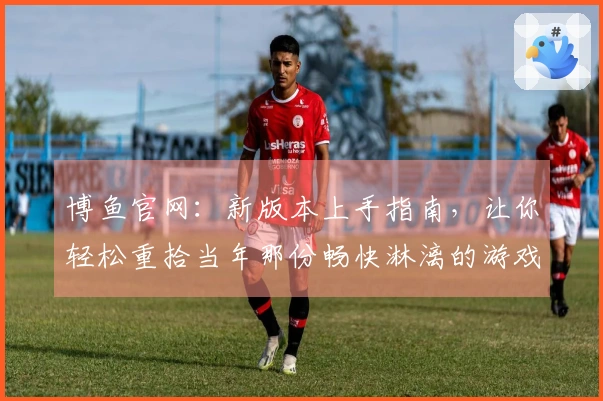 博鱼官网：新版本上手指南，让你轻松重拾当年那份畅快淋漓的游戏体验