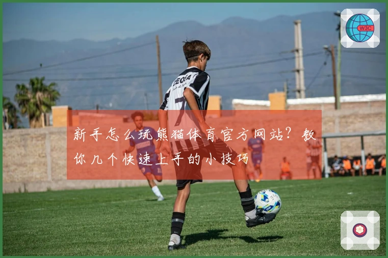 新手怎么玩熊猫体育官方网站？教你几个快速上手的小技巧